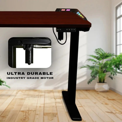 Cyberwolf Hydraulic Table - Premium Height Adjustable Desk (Regular) My Store