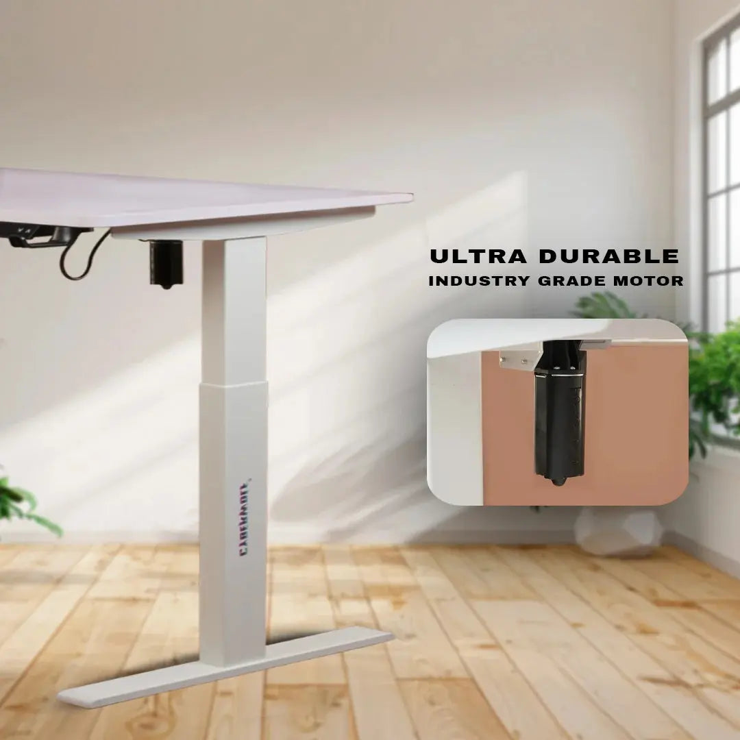 Cyberwolf Hydraulic Table - Premium Height Adjustable Desk (Regular) My Store