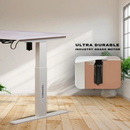 Standing desk for productivity and posture support